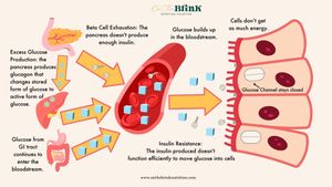 Chinese Study Reveals Nonlinear Link Between Hepatic Steatosis Index And Glucose Regulation