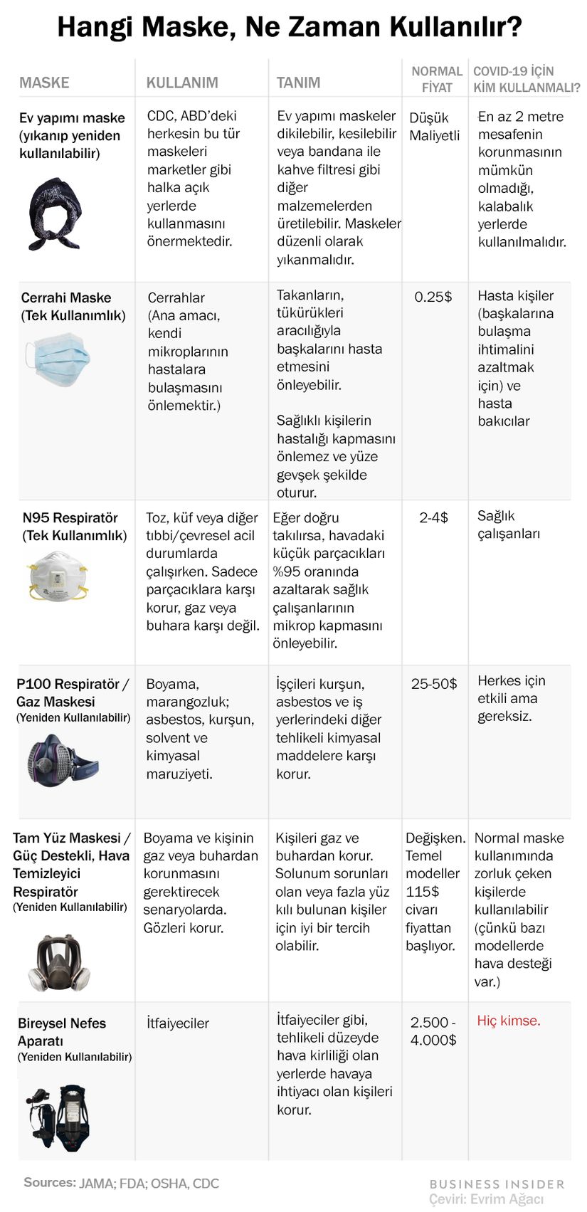 Bu görsel Evrim Ağacı tarafından Türkçeye çevrilmiştir.