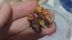 Açıkta satılan kuruyemişler ne kadar zararlı?