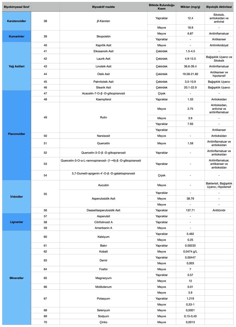 Morinda citrifolia'da bulunan bazı biyoaktif maddeler