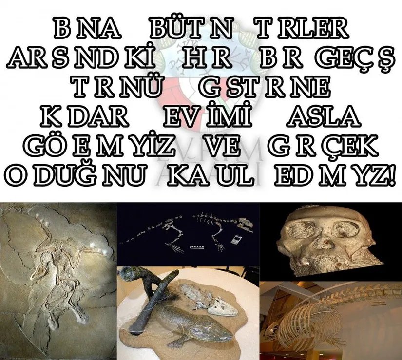 Bu konuda daha fazla bilgi almak için "Evrim Ağacı" yazısına tıklayın.