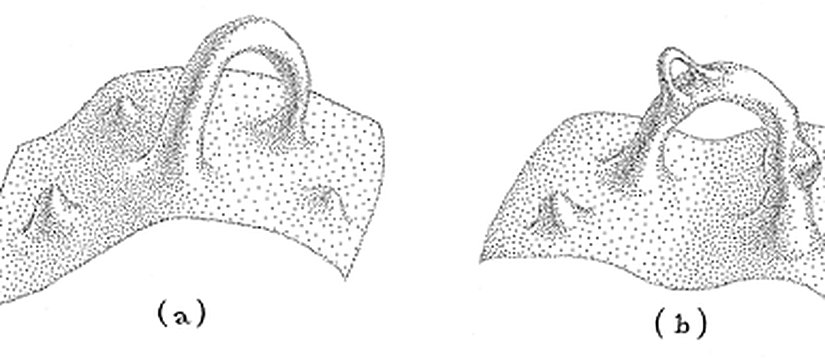 Şekil 14: Kuantum Köpüğü