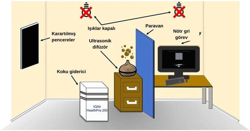Deneyin yürütüldüğü izole odanın şematik gösterimi.