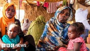 Sudan Faces Outcry Over El Fasher Massacre Cover Up