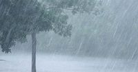 Rain Alert: राज्यात आजपासून चार दिवस वळीव बरसणार; हवामान विभागाचा अंदाज