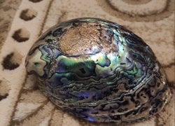 Sizce görseldeki ne olabilir?