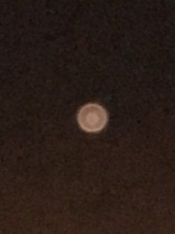 Bunun hakkında ne düşünüyorsunuz?