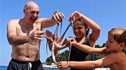 İnsanların Sınırsız Aptallığı: Dünya'nın İkinci Altı Bacaklı Ahtapotunu Yediler!