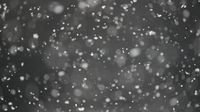 Schools cancelled across Nova Scotia