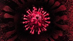 Salgınlar Nasıl Sona Erer?