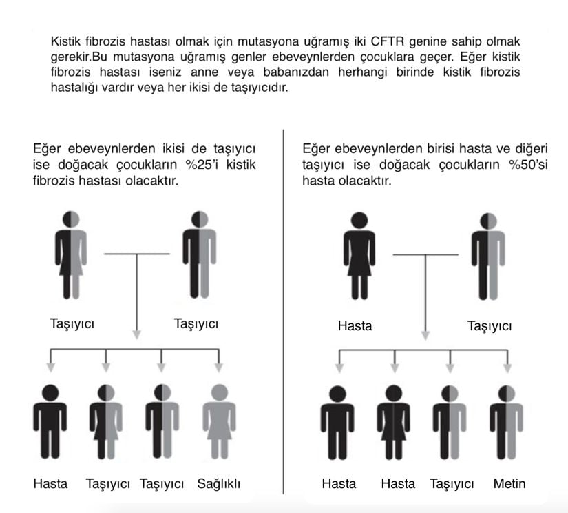 Kistik fibrozis kalıtım şekli