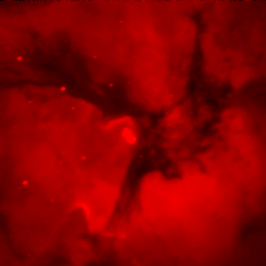 Hidrojen Trifid