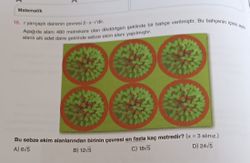 Bu sebze Ekim alanlarından birinin çevresi en fazla kaç metredir?