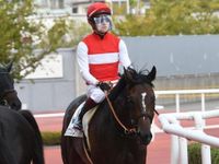 【AI予想・阪神大賞典】上位人気馬が中心となる長距離重賞！ 人工知能は頼もしい鞍上を味方に重賞初制覇を狙う実力馬に期待（netkeiba） - Yahoo!ニュース