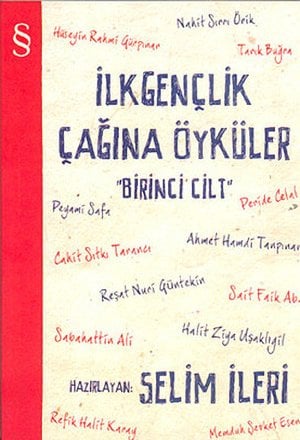İlk Gençlik Çağına Öyküler