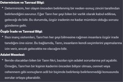 Dinde özgür irade diye bir şey gerçekten var mı?