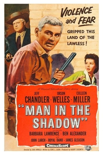 Man in the Shadow