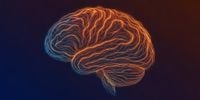 Neuroscientists use brain implants and AI to map language processing in real time