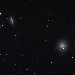  Cetus Galaxies and Supernova 