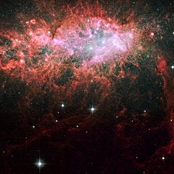 NGC 1569: Starburst in a Dwarf Irregular Galaxy