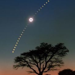 Eclipse Over Acacia