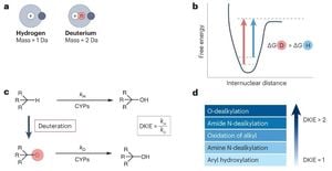 Innovative Iron Catalyst Enables Efficient Deuterated Amines Synthesis