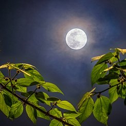  Full Moon of Spring 