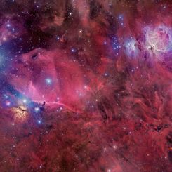  Orion in Gas, Dust, and Stars 