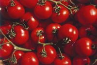 Tomatoes Recalled In 4 Southern States Due To Possible Salmonella Contamination