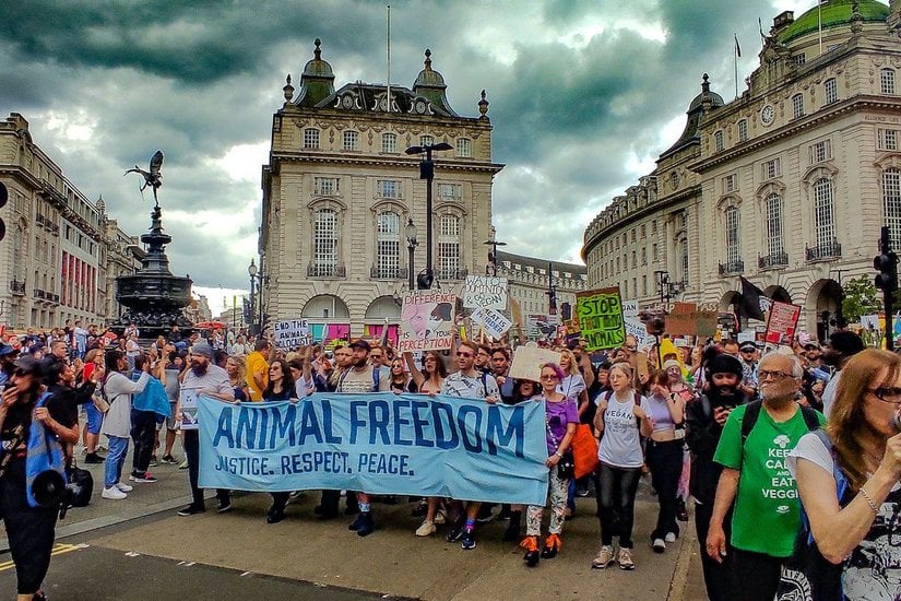 2018 Londra vegan yürüyüşünden bir fotoğraf