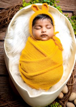 Minyatür bir yumurta teorisi mi, o da ne?