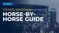 Grand National tips: Full guide to the 2025 Randox Grand National at Aintree