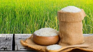 Thailand Faces Rice Export Challenges Ahead Of 2024