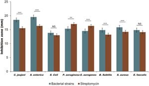 Rosemary Extract Shows Promise As Eco-Friendly Scale Detoxifier