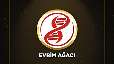 Evrim Ağacı, Boğaziçi Bilişim Ödülleri'nde 