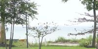 Search concludes for 2 brothers who went missing in Lake Erie