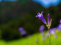 پیام‌های تبریک سال نو 1404؛ ادبی، رسمی و مفهومی