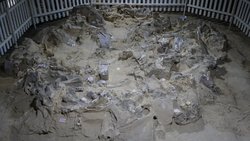 Buzul Çağı’nda Ukrayna’da Mamut Kemiklerinden Evler: 18 Bin Yıllık Olağanüstü Barınaklar.