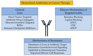 FMEA Enhances Safety Of Monoclonal Antibody Management