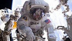 Uzay Seyahati Astronotların Kalplerinin Daha Yuvarlak Olmasına Neden Oluyor!