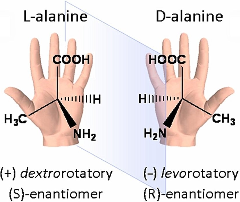 Aminoasitlerin ayna simetrik yapısını (kiralitesini) gösteren şema.