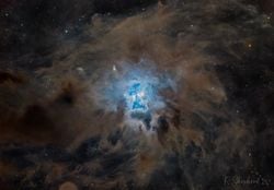 NGC 7023: Iris Bulutsusu
