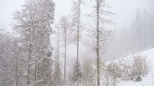 Heavy Snowfall Hits Sochi And Krasnaya Polyana