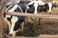 México colaborará con EU para afrontar el reto del gusano barrenador