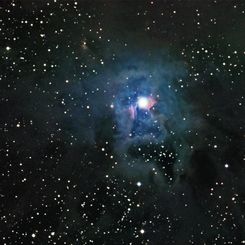 NGC 7023: The Iris Nebula