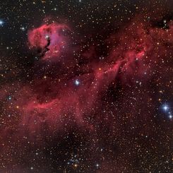 The Seagull Nebula