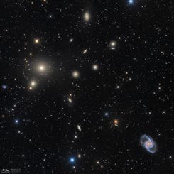  The Fornax Cluster of Galaxies 