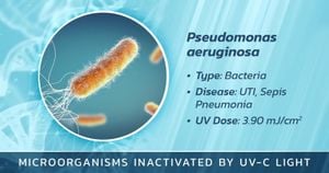 Targeting MexL Could Reduce Virulence Of Pseudomonas Aeruginosa