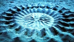 Sanat ve Cinsel Seçilim: Sanat, Cinsel Seçilimde Avantaj Sağlamak İçin Ortaya Çıkmış Olabilir mi?