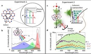 Ultrafast Phonon-mediated Dephasing Observed In HBN Defect Centers